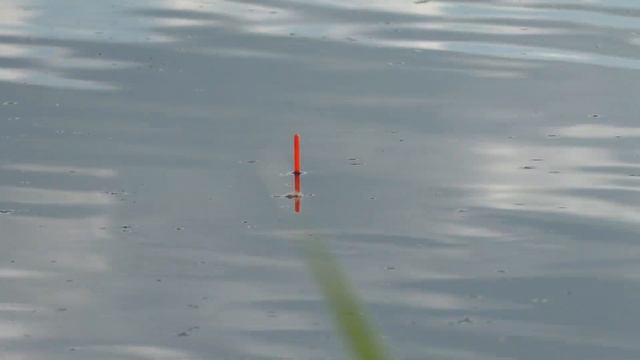 Насадка которая ловит даже когда у других не клюет! Лещ, карась, карп, плотва, проверено 👍 смотреть онлайн