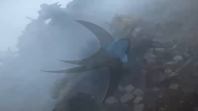 Одного из раненых воинов эпично эвакуировали под покровом дымовой завесы смотреть онлайн