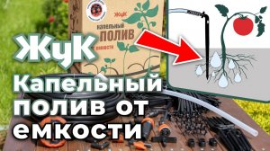 Капельный полив «Жук» от емкости. Комплектация, монтаж
