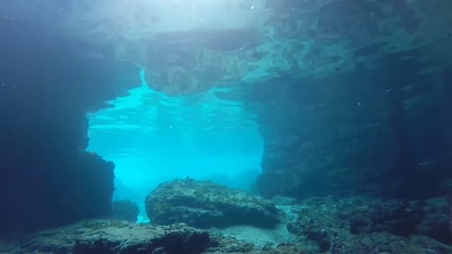 dragonara смотреть онлайн