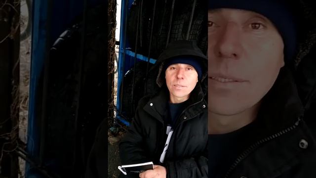 Моряк папай смотреть онлайн