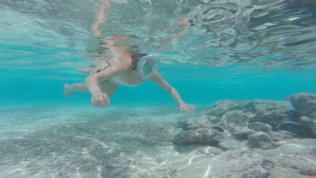 Лена вокруг кораллового островка смотреть онлайн