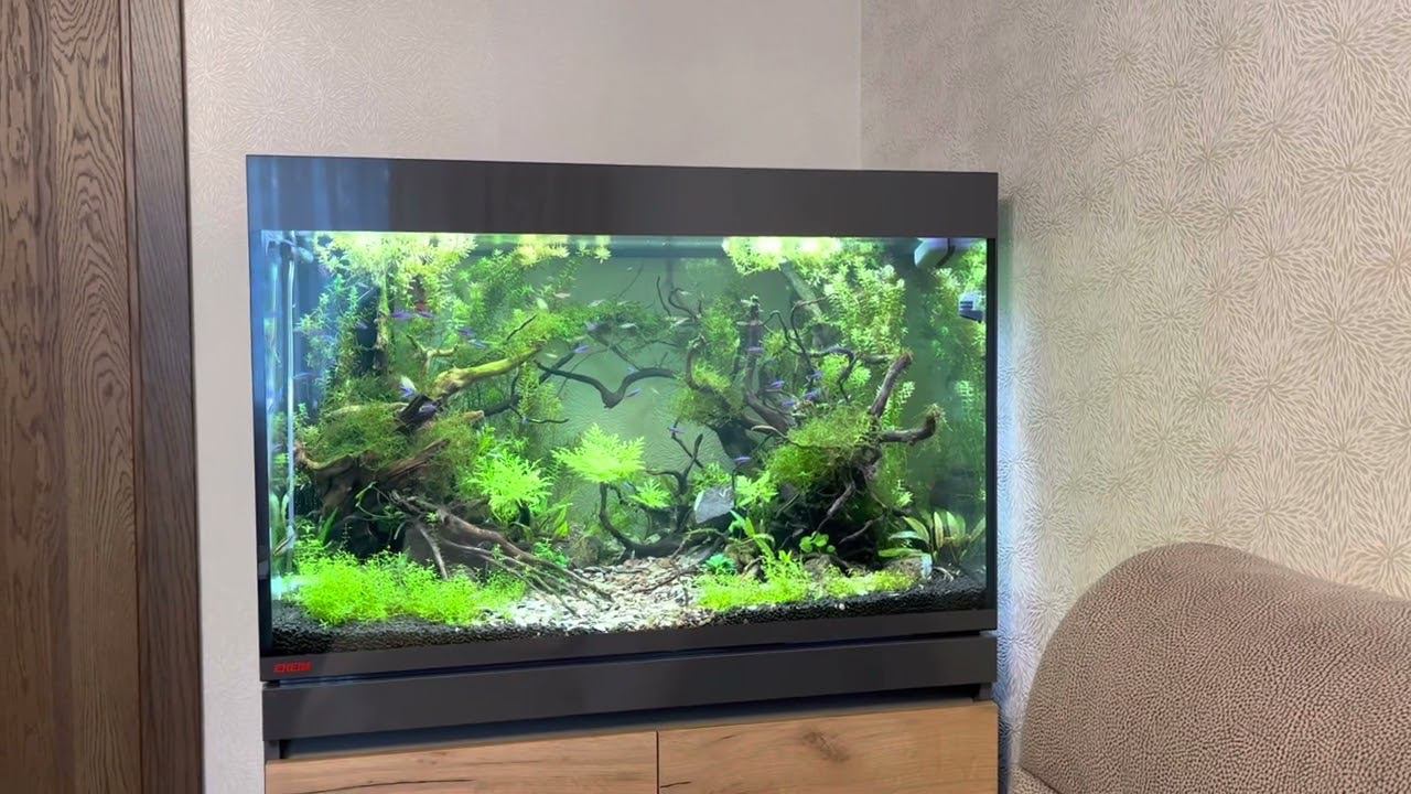 Подводный сад смотреть онлайн