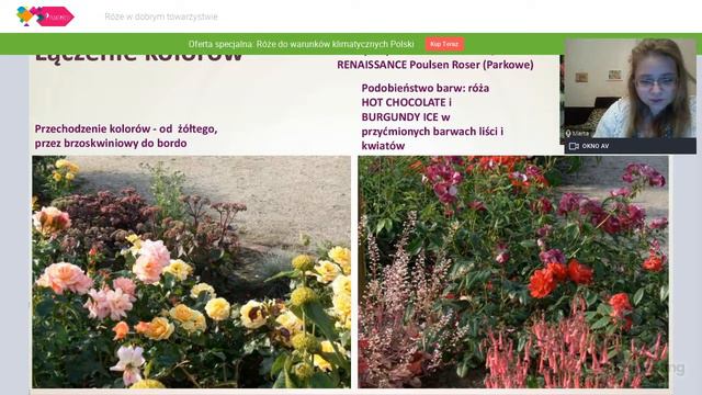 Róże w dobrym towarzystwie - zapis z webinarium 09.03.2021 смотреть онлайн