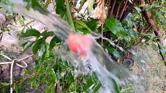 Samsung Galaxy A21s slow motion camera test. смотреть онлайн