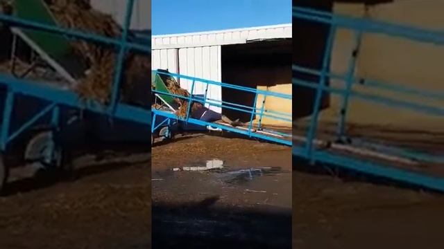 не повезло смотреть онлайн