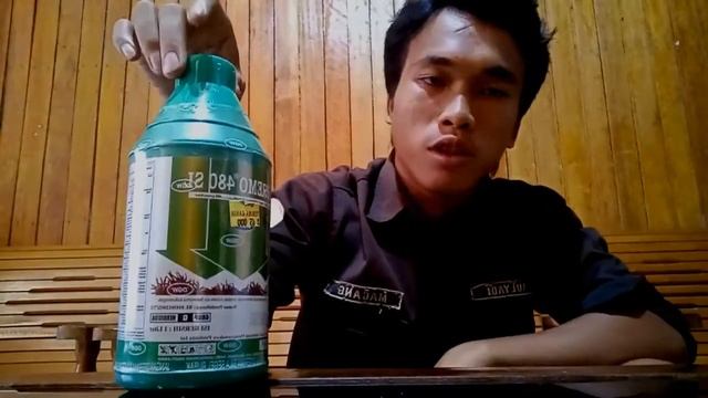 PENJELASAN HERBISIDA SUPREMO 480 SL | RACUN GULMA | NON SELEKTIF смотреть онлайн