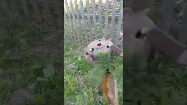 БЛАГОДАРНОСТЬ И РАСКРЫТИЕ ЛИЧНОСТИ