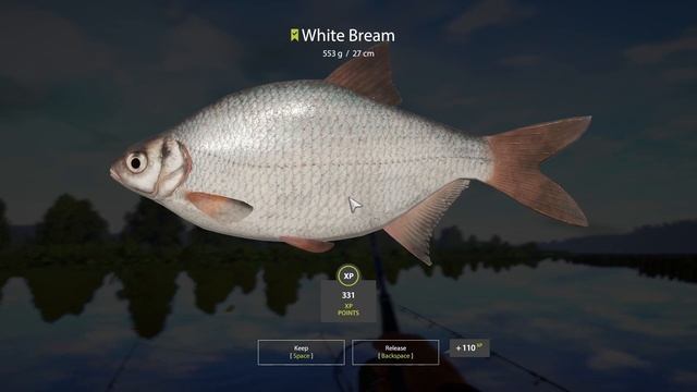 Водные просторы