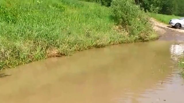 MOV 5242 смотреть онлайн