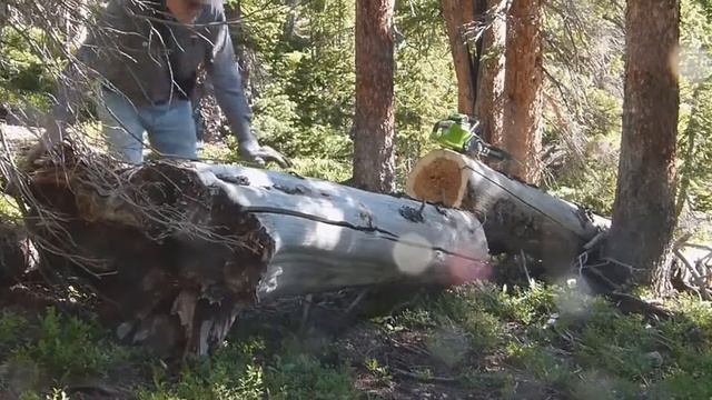 Greenworks 20312 Review 2019 | Cordless Chainsaw смотреть онлайн