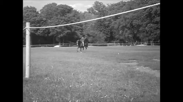 A pony of a life time! смотреть онлайн