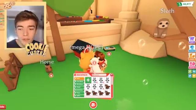 Adopt Me Peacock Update! How To Get A FREE MEGA NEON Peacock In Adopt Me! Roblox Giveaway 2021 смотреть онлайн