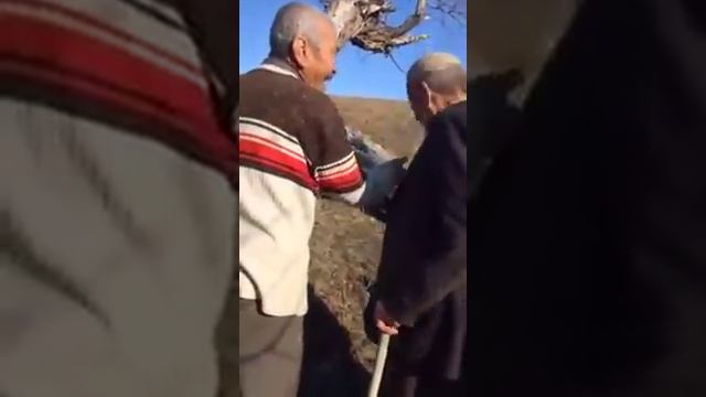 14 февраля 2017 г. смотреть онлайн