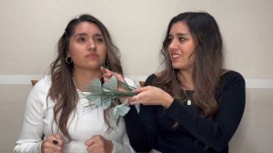 Twin Sneeze Challenge Strikes Back: Part 2 #challengevideo #sneeze #laughchallenge #twins #estrada