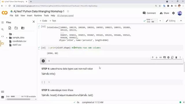 Python Data Wrangling with Pandas Workshop 1: เริ่มดูข้อมูลของคุณก่อน ? смотреть онлайн