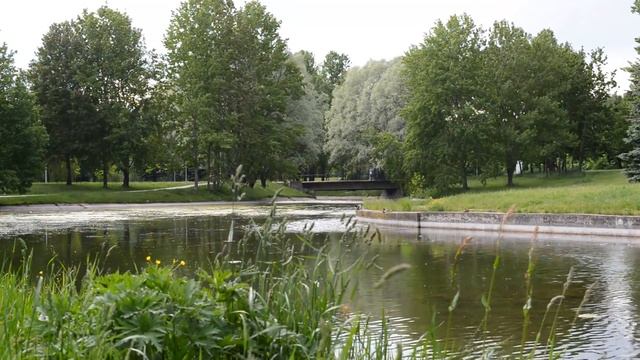 ВЫТЯГИВАЛА ВСЁ ДО ПОСЛЕДНЕЙ КАПЛИ. Измена жены – истории из жизни. Жизненные аудио рассказы