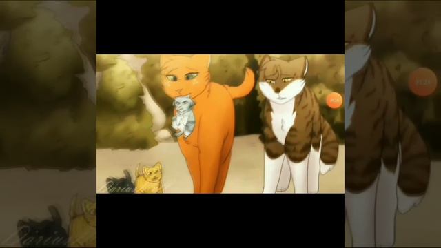 Клип/Коты Воители/Белка и Уголек/Free Falle смотреть онлайн