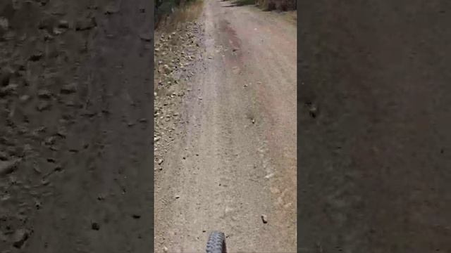 Camino viejo a San Ignacio Aguascalientes,México смотреть онлайн