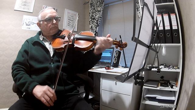 The Tale Of A Cruel World Terraria Title Theme Of Calamity Mod OST By: DM DOKURO Arr. Unnamed Bo смотреть онлайн