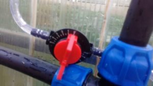 Подкормка растений с помощью капельного полива.