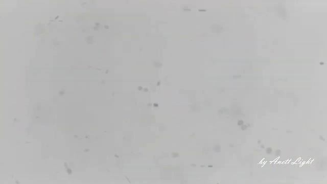 Наверно, это в первый раз... || Макс/Лена/Вахтанг || Пёс смотреть онлайн