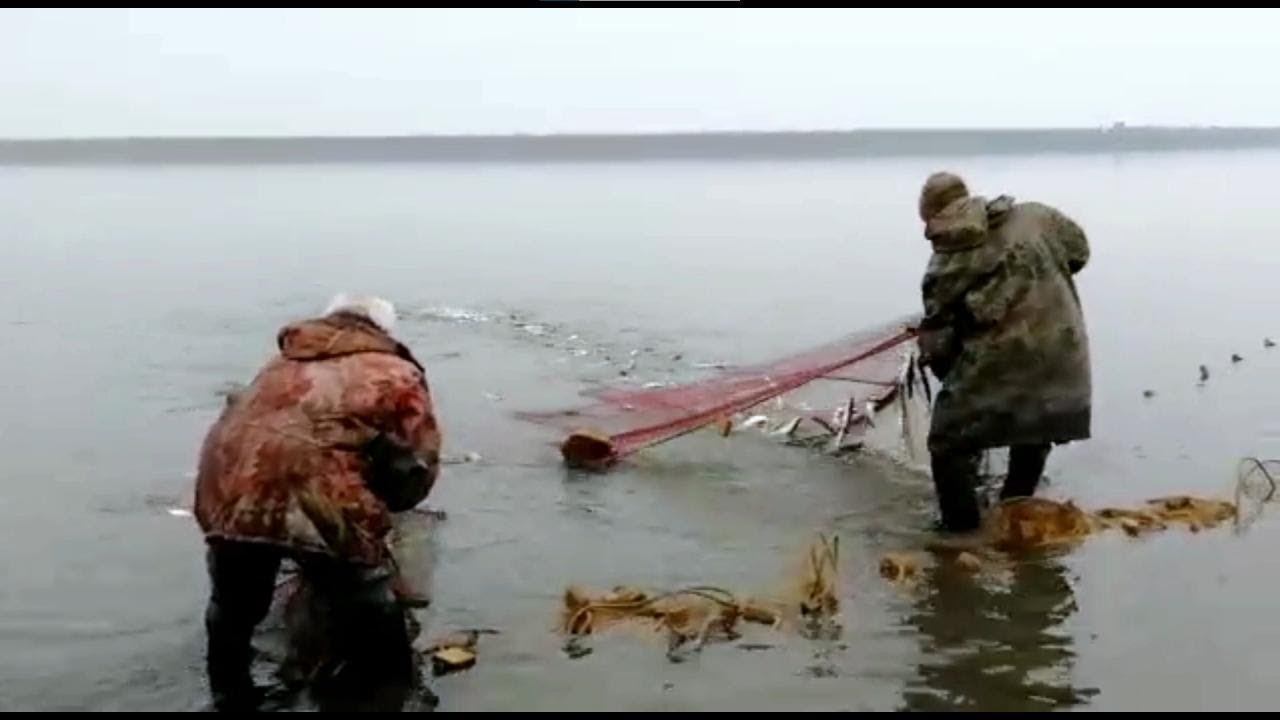 Осенняя рыбалка на Индигирке часть 2 смотреть онлайн