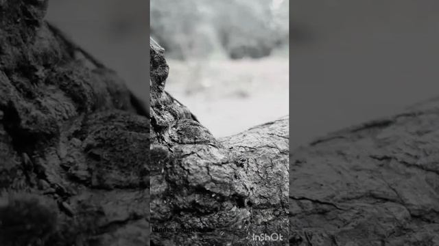 Surveyors-life смотреть онлайн
