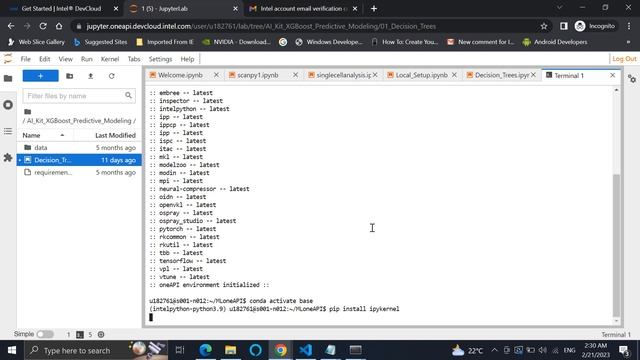 Installing the additional libraries for oneAPI Toolkit within DevCloud смотреть онлайн