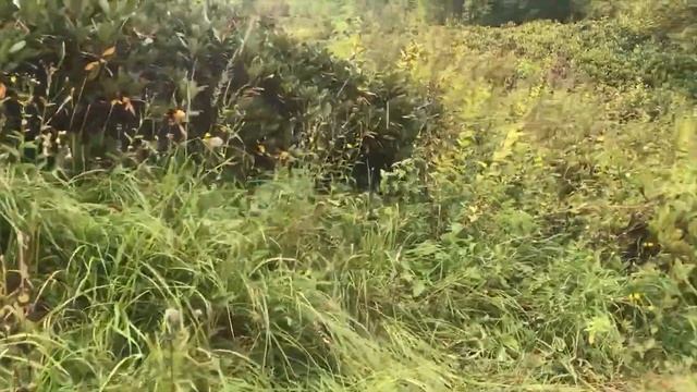 КРАСНАЯ ПОЛЯНА | БЗЕРПИНСКИЙ КАРНИЗ | ОЗЁРА ДЗИТАКУ | КАВКАЗСКИЕ ГОРЫ смотреть онлайн