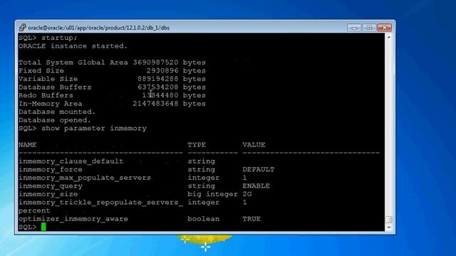 Configure In-Memory in Oracle 12c database смотреть онлайн