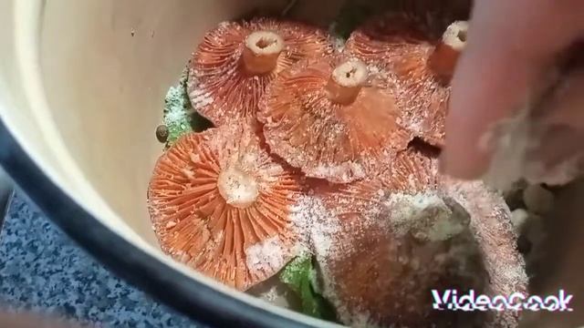 Солені гриби. Солені рижики. смотреть онлайн