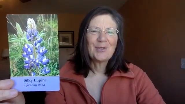 Flower Essence Oracle Reading (March): Silky Lupine - Detox, Beauty, Clear Blocks смотреть онлайн