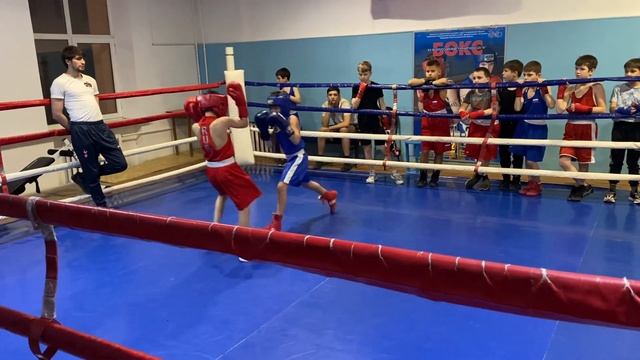 Бокс дети, тренировочные спарринги смотреть онлайн