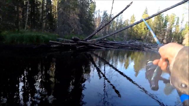Рыбалка на таёжных речках в июле. смотреть онлайн