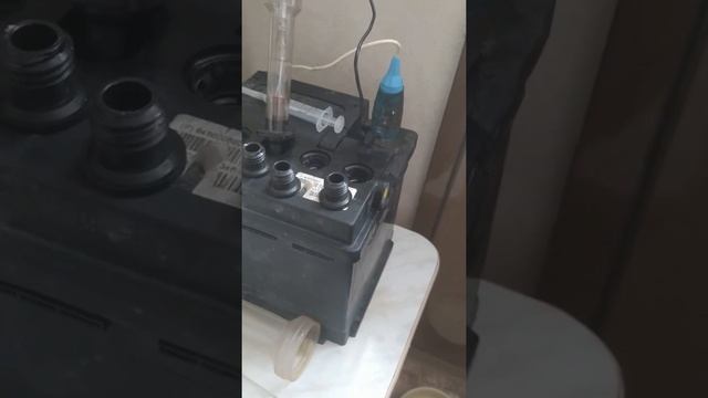 Зарядка и обслуживание свинцового аккумулятора на автомобиле короткая видеоинструкция смотреть онлайн