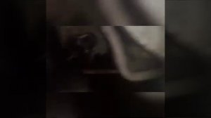 Ford вибрация при разгоне