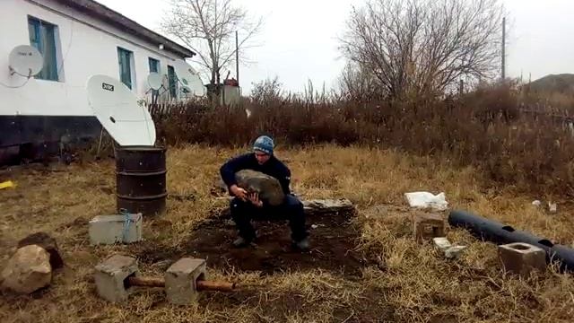 Подъём камня на плечо 85кг смотреть онлайн