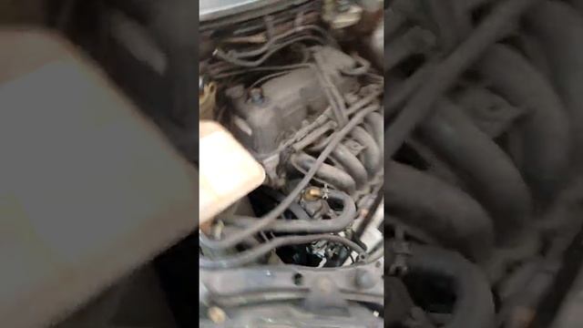 número do motor chassi do Ford Focus 1.6 há. 2005/2005 смотреть онлайн