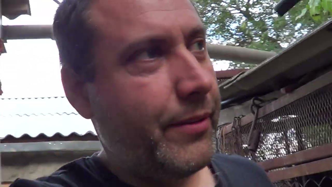 СЕМЬЯ СОЕДИНИЛАСЬ / ОЧЕНЬ НАГЛО СЕБЯ ВЕДУТ / ЖАДНОСТЬ смотреть онлайн