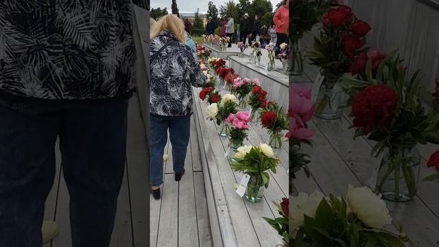 230603 Цветы, выставка пионы ирисы Детский парк река Орлик плотина Богоявленский собор город Орёл г смотреть онлайн