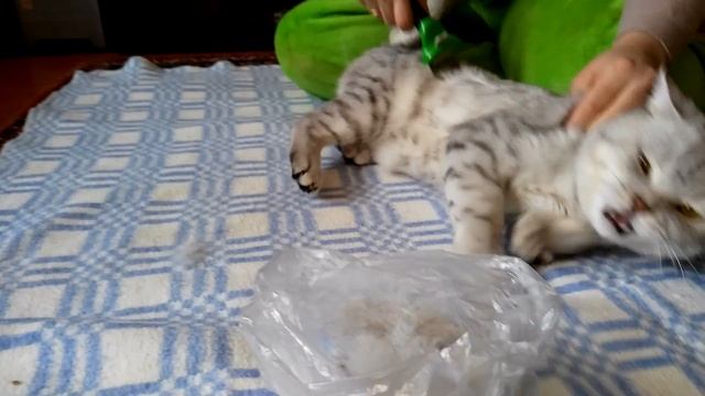 Женская карьера и бизнес-стратегии