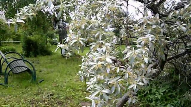 Видео с Rekam iLook S970i в режиме HD смотреть онлайн