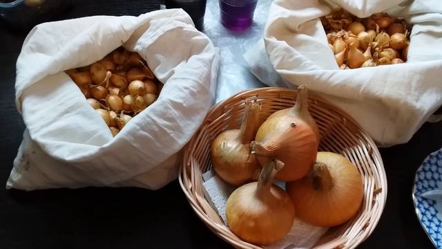 ЛУК хранится ДО МАЯ. смотреть онлайн