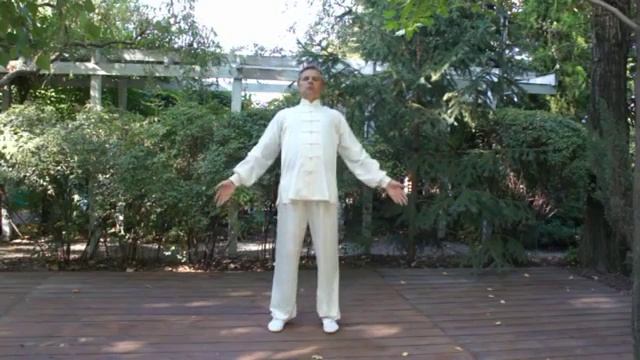 Цигун для почек Reins №2 с доктором Бутримовым смотреть онлайн