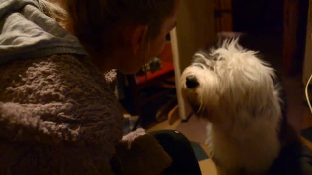 DSC 0809 смотреть онлайн