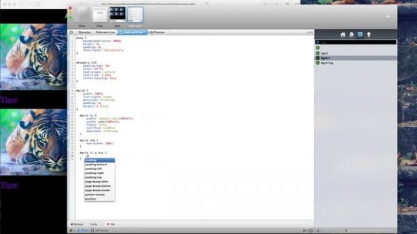 Адаптивная сетка в css