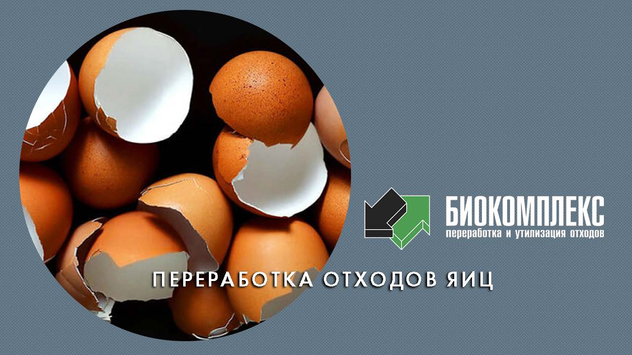 Переработка отходов яиц смотреть онлайн