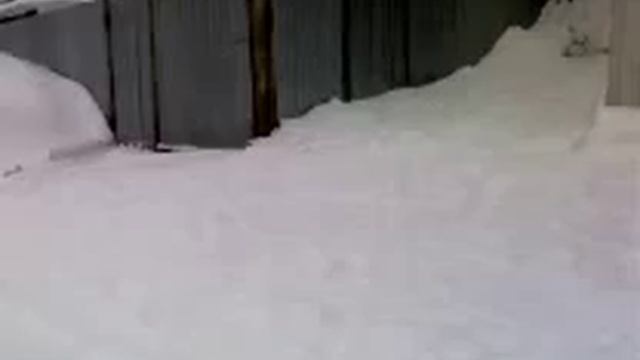 Самодельный снегаход (реально работает!!!) смотреть онлайн