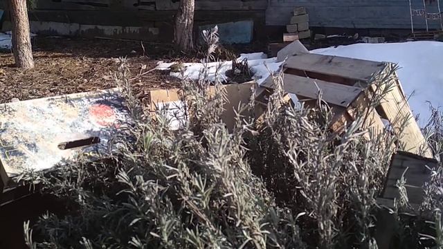 Лаванда от а до я.... смотреть онлайн